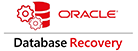 15-Oracle Database